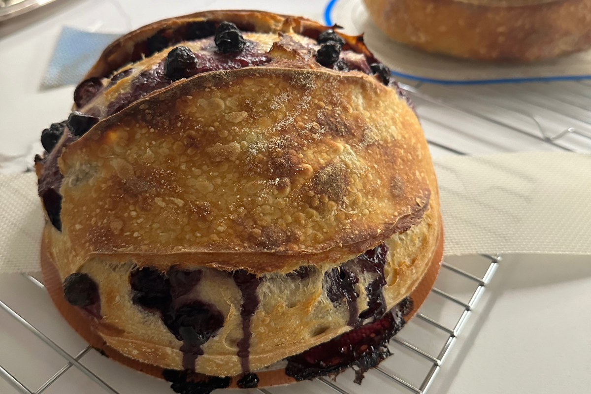 Berrylicious Boules: Adding Blueberries to Your Artisan and Sourdough Loaves